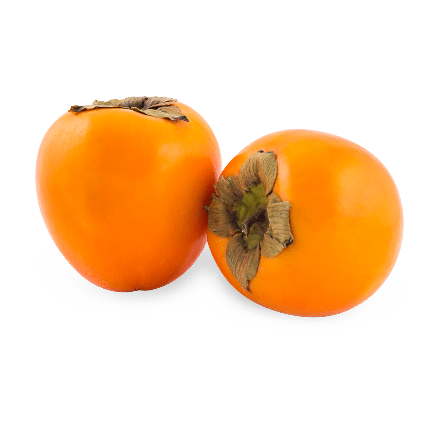 Organic Fresh Paradise Palm