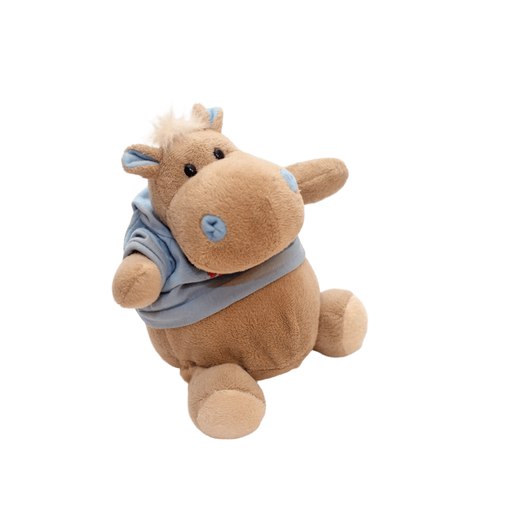 Lorem vel tempus platea